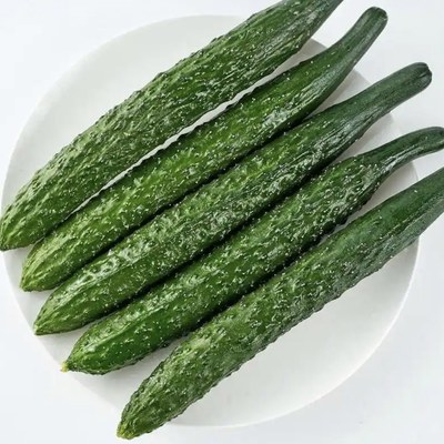 黄瓜